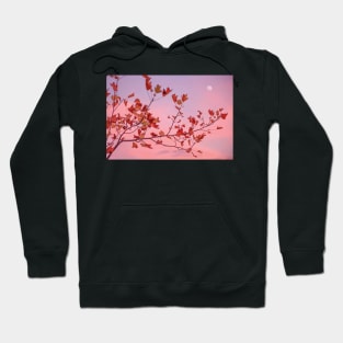 Moon Rose Hoodie